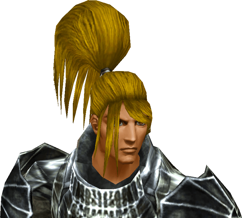 Păr Lung Blond (M)
