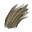 Blană de lup_Image