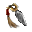 Shiriken_Image