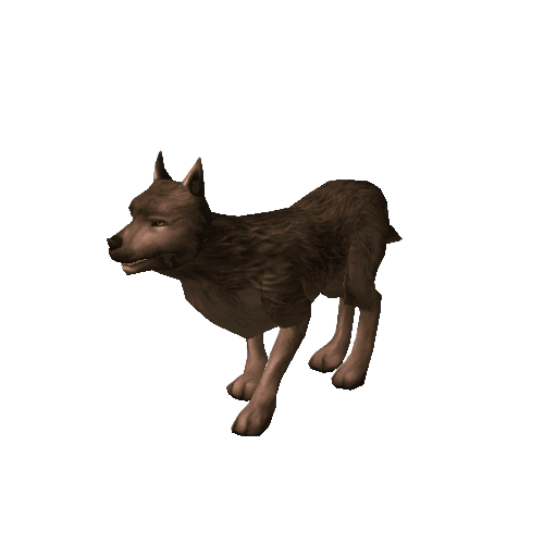 Câine sălbatic flămând