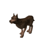 Câine sălbatic flămând_element