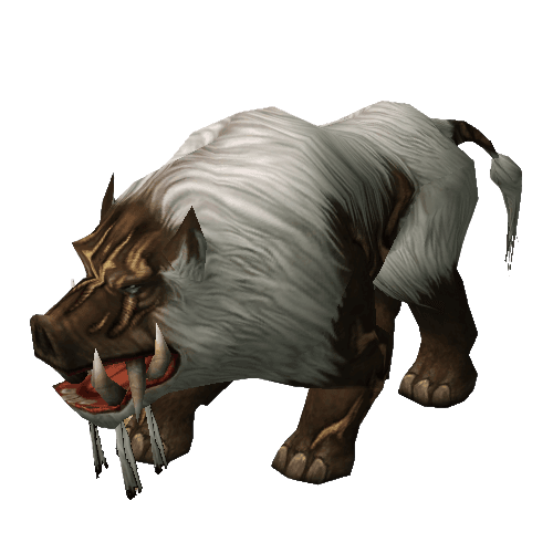 Scrofa