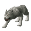 Tigru Alb