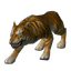 Tigru