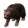 Urs Flămând Grizzly_element