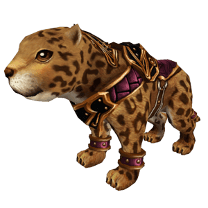 Leopard Pui