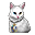 Pisică Albă Angora_element