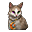 Pisică Maro Angora_element